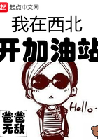 我在西北开加油站我在西北开加油站
